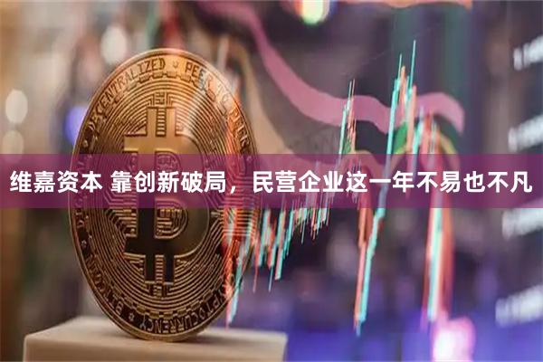 维嘉资本 靠创新破局，民营企业这一年不易也不凡