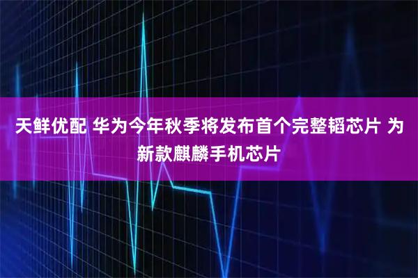 天鲜优配 华为今年秋季将发布首个完整韬芯片 为新款麒麟手机芯片