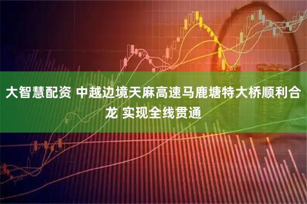 大智慧配资 中越边境天麻高速马鹿塘特大桥顺利合龙 实现全线贯通
